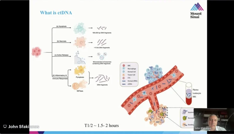 Highlights From How I Treat Bladder Cancer in 2026 Global Virtual Summit 5 WHA79 - OncoDaily