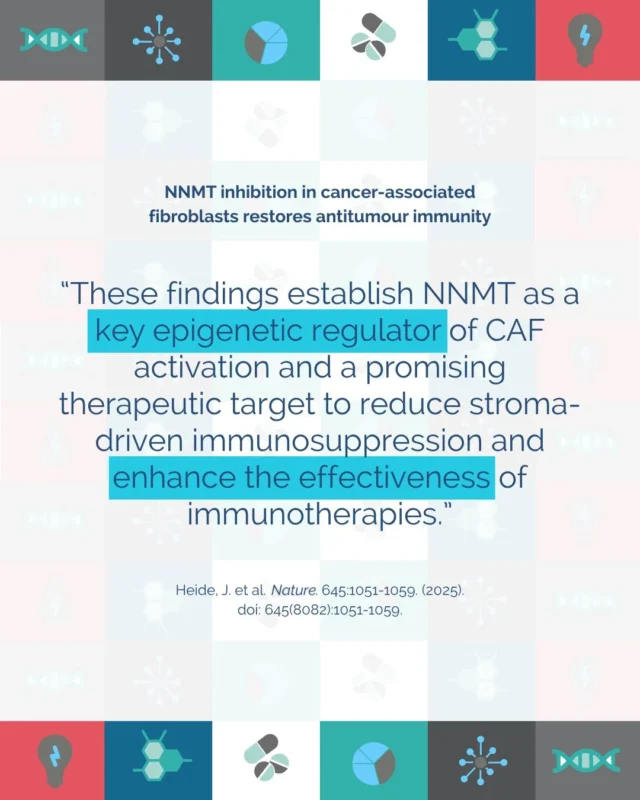 Discover Exciting New Publications in the Latest Edition of Our Highlights in Cancer Research! - EACR 2 European Association for Cancer Research (EACR)