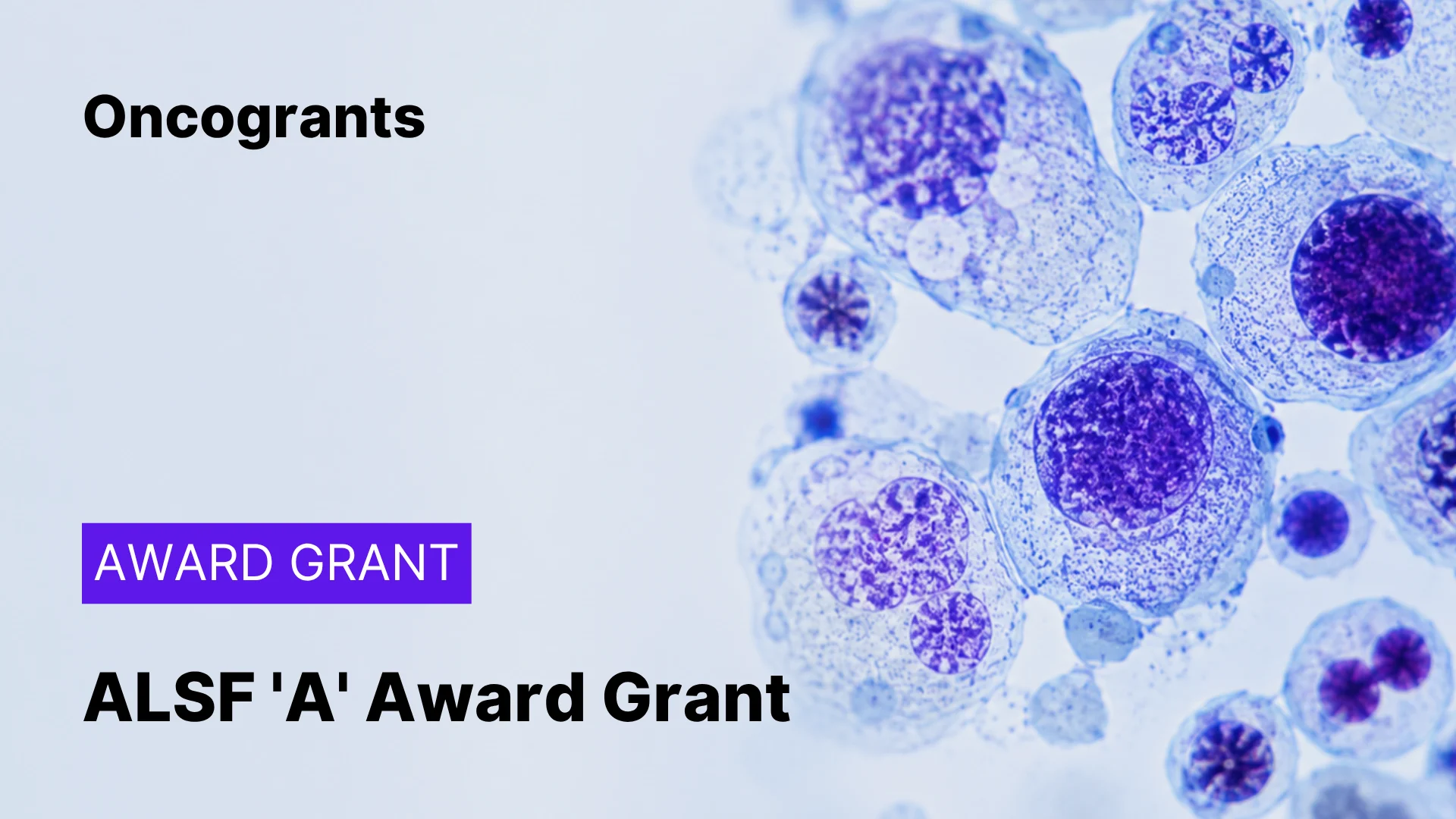 Alex's Lemonade Stand Foundation — 'A' Award Grant