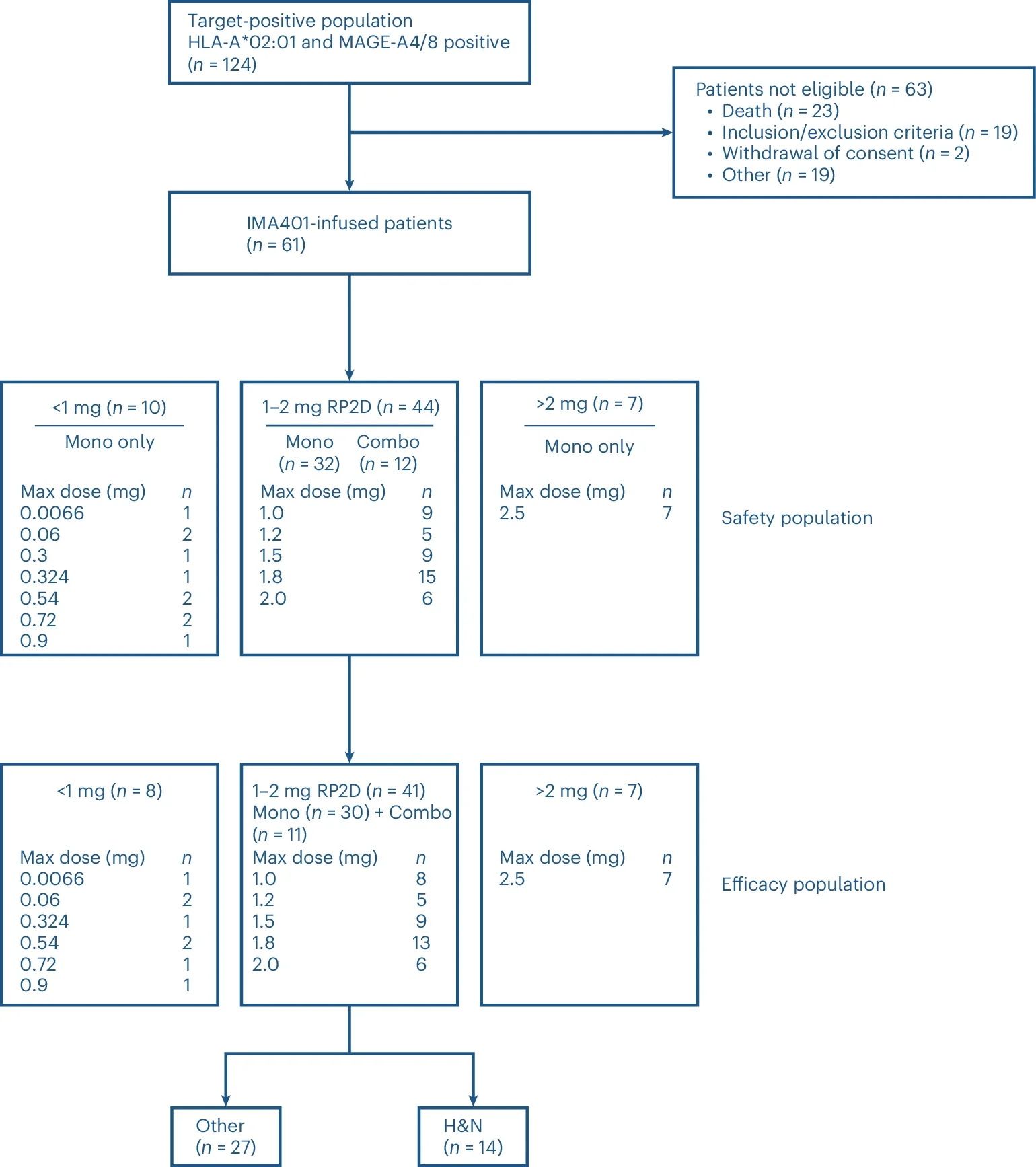 IMA401-101 Study: First-in-Human TCER IMA401 in Advanced Solid Tumors 3 IMA401-101 Study: First-in-Human TCER IMA401 in Advanced Solid Tumors