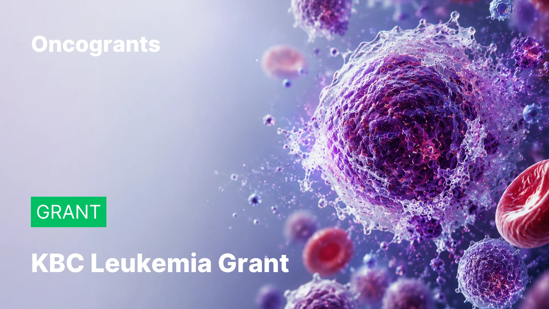 Kids Beating Cancer — John Voight Memorial Leukemia Research Grant