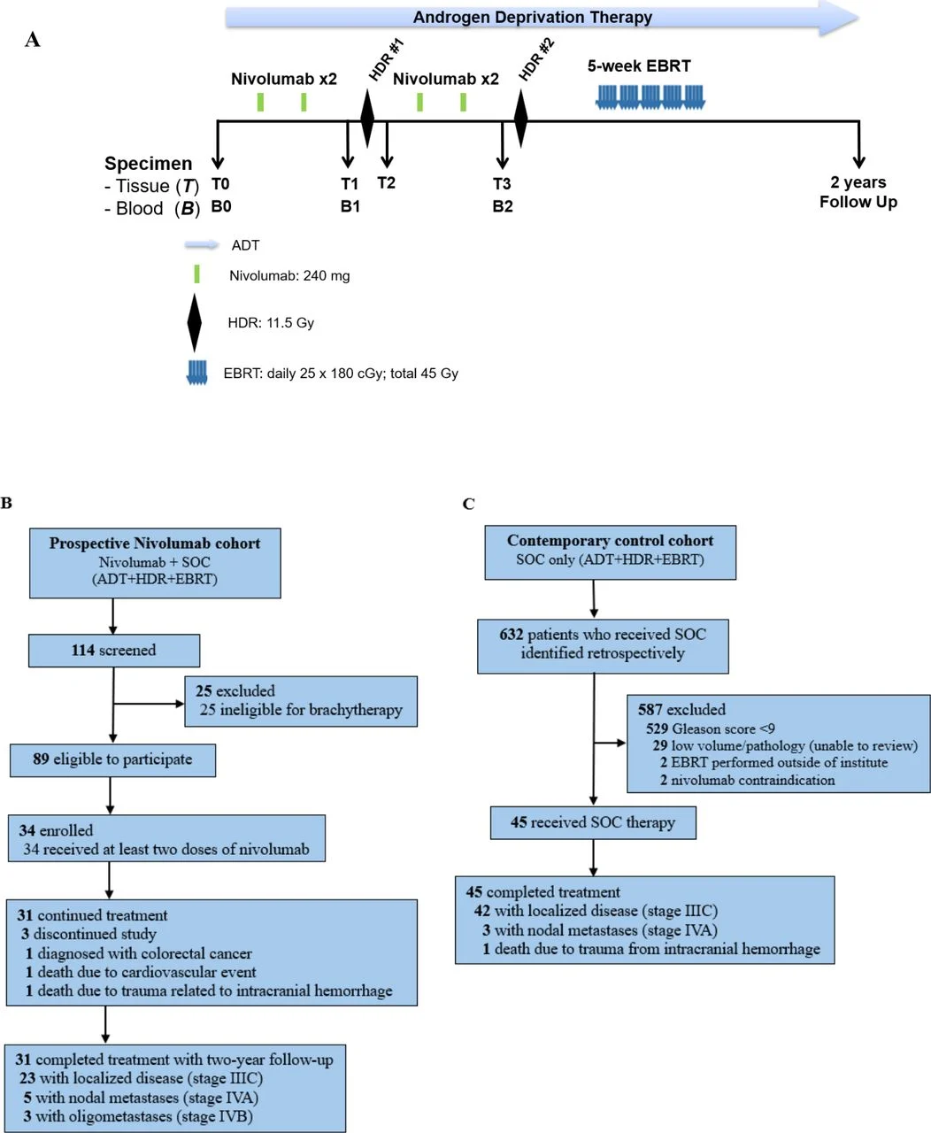 Prostate Cancer