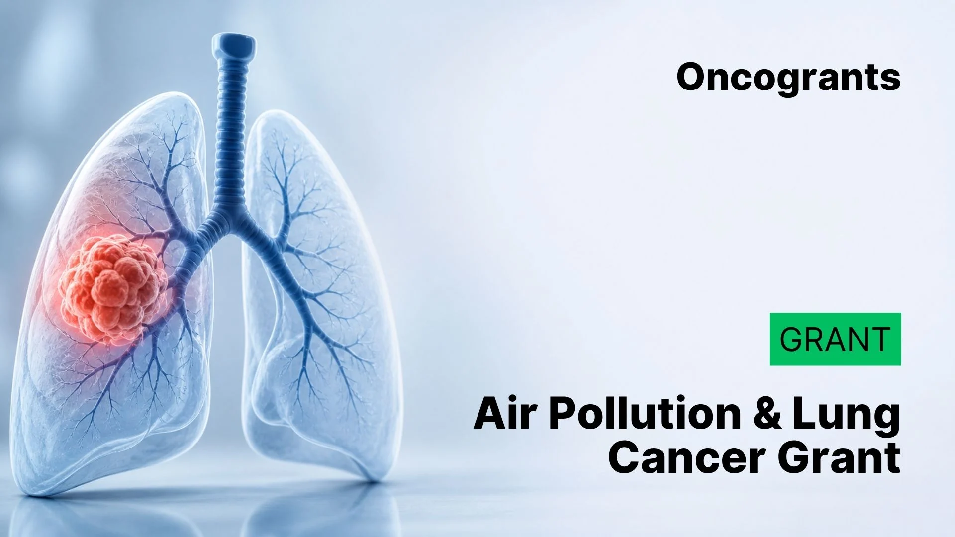 OUCH-International & LCRF Research Grant Program on the Effects of Air Pollution and Climate Change on Carcinogenesis and Lung Cancer Prevalence