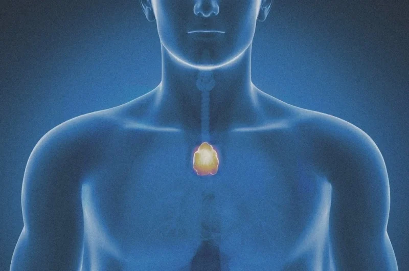 Pat Soon-Shiong: The Thymus, IL-15, and the "Cure" for Cancer