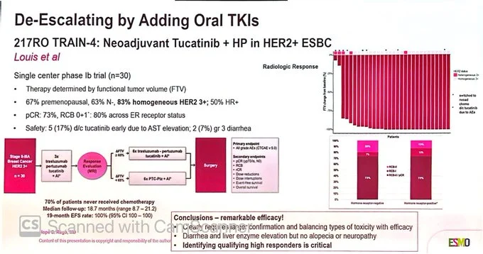 Erika Hamilton: Adding Tucatinib and Reducing Chemotherapy in Neoadjuvant HER2+ Breast Cancer