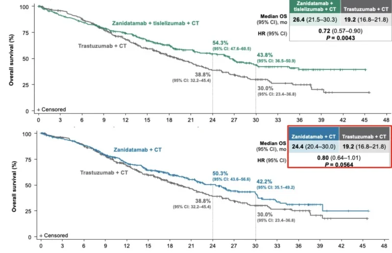 Nikhil Vasudeva to Kohei Shitara: Does Tislelizumab Actually Make a Difference in HERIZON-GEA-01? 2 Nikhil Vasudeva, Kohei Shitara