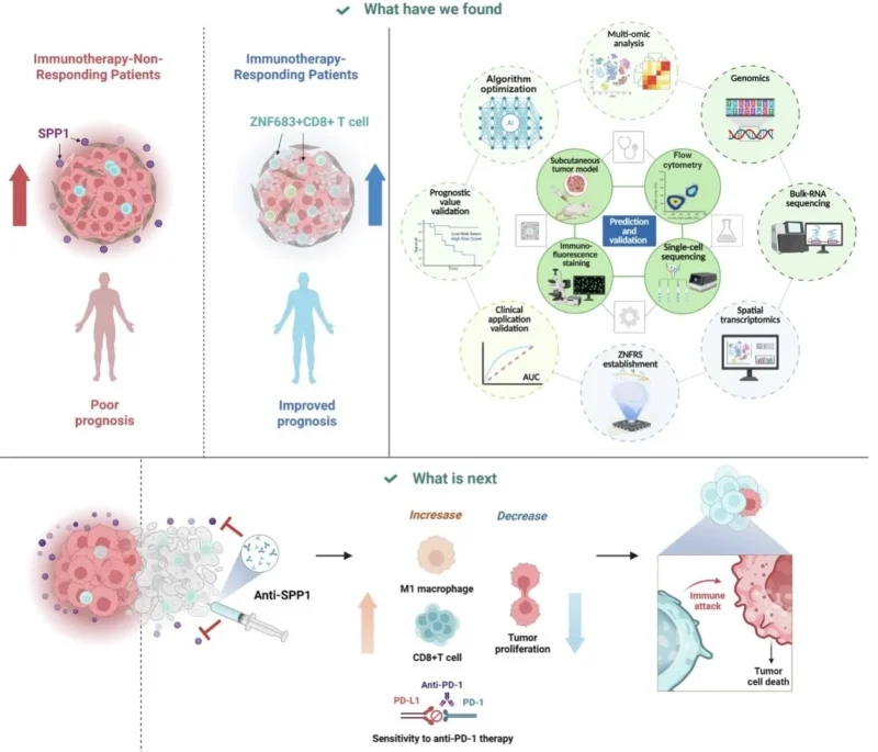 Hidehito Horinouchi: Multi-Omics Profiling of Tumor Microenvironment and ICI Response in NSCLC