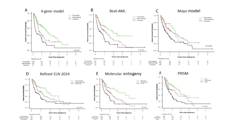 Amer Zeidan: EHA2026 Compares Six Prognostic Models in Older AML Patients