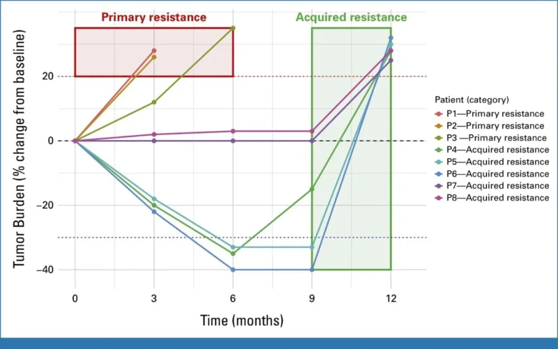 Cassio Murilo T Hidalgo Filho: Overcoming Primary and Acquired Resistance to Immunotherapy in NSCLC