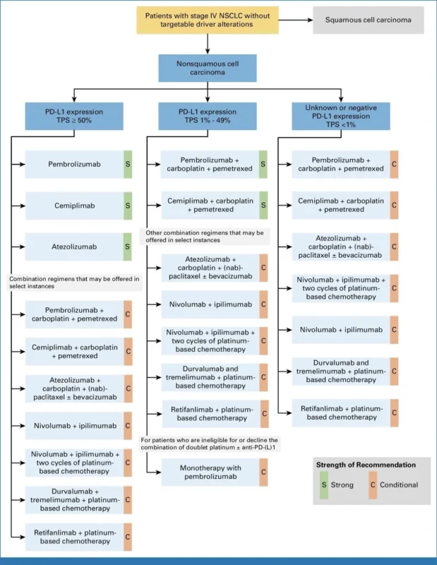 Hidehito Horinouchi and David Gandara: ASCO Living Guideline Update in Stage IV NSCLC
