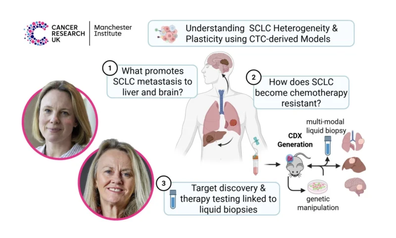 Samra Turajlić: New Associate Scientist Opportunity in SCLC Biology at CRUK Manchester Institute