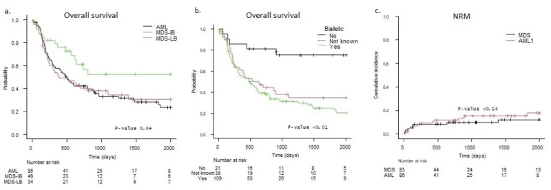 Amer Zeidan: EHA 2026 Presentation Explores HSCT Outcomes in TP53-Aberrant Neoplasms