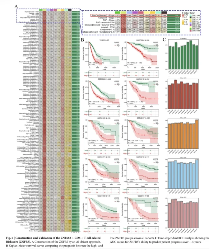NSCLC immunotherapy response biomarker study links ZNF683+ CD8+ T cells to response and SPP1 signaling to resistance.