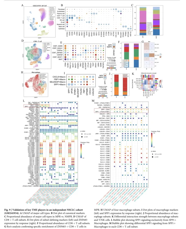 NSCLC immunotherapy response biomarker study links ZNF683+ CD8+ T cells to response and SPP1 signaling to resistance.