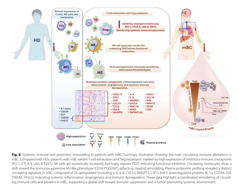 metastatic breast cancer