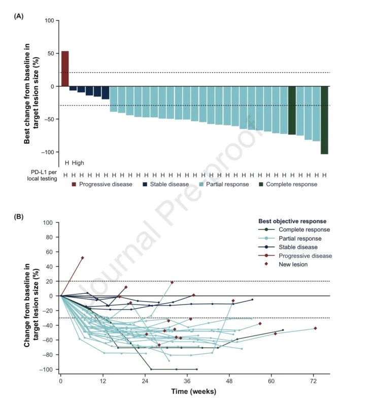 Dato-DXd Plus Durvalumab Shows Durable First-Line Activity in Advanced TNBC 4 Dato-DXd Plus Durvalumab