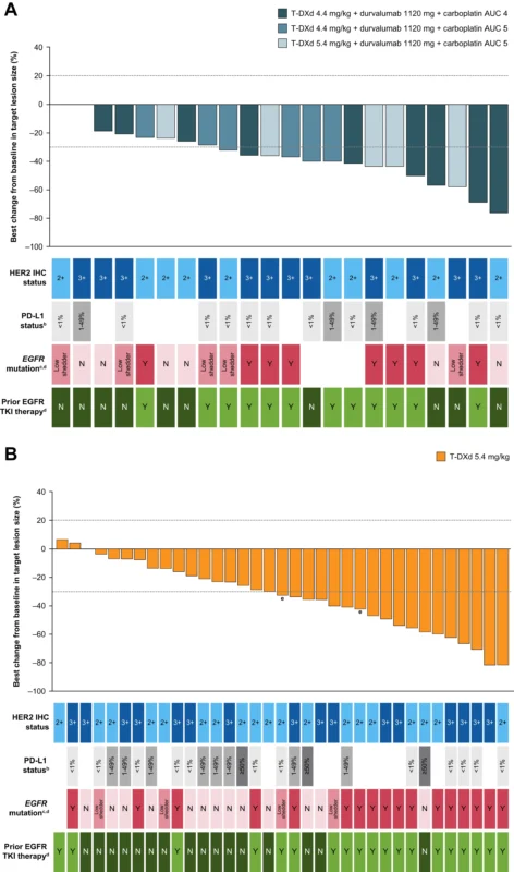 DESTINY-Lung03: T-DXd Confirms Activity in HER2-Overexpressing NSCLC, but Triplet Therapy Falls Short 2 DESTINY-Lung03