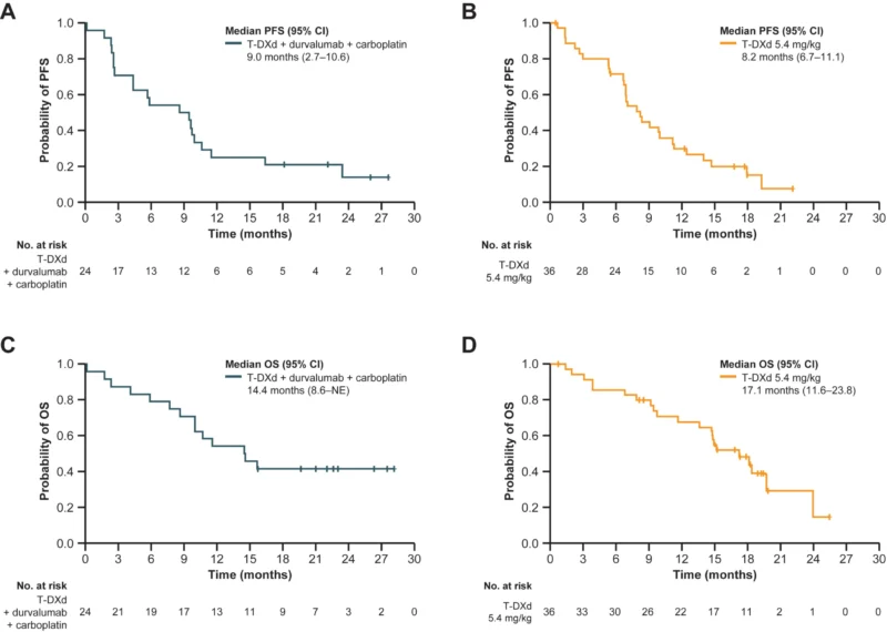DESTINY-Lung03: T-DXd Confirms Activity in HER2-Overexpressing NSCLC, but Triplet Therapy Falls Short 3 DESTINY-Lung03