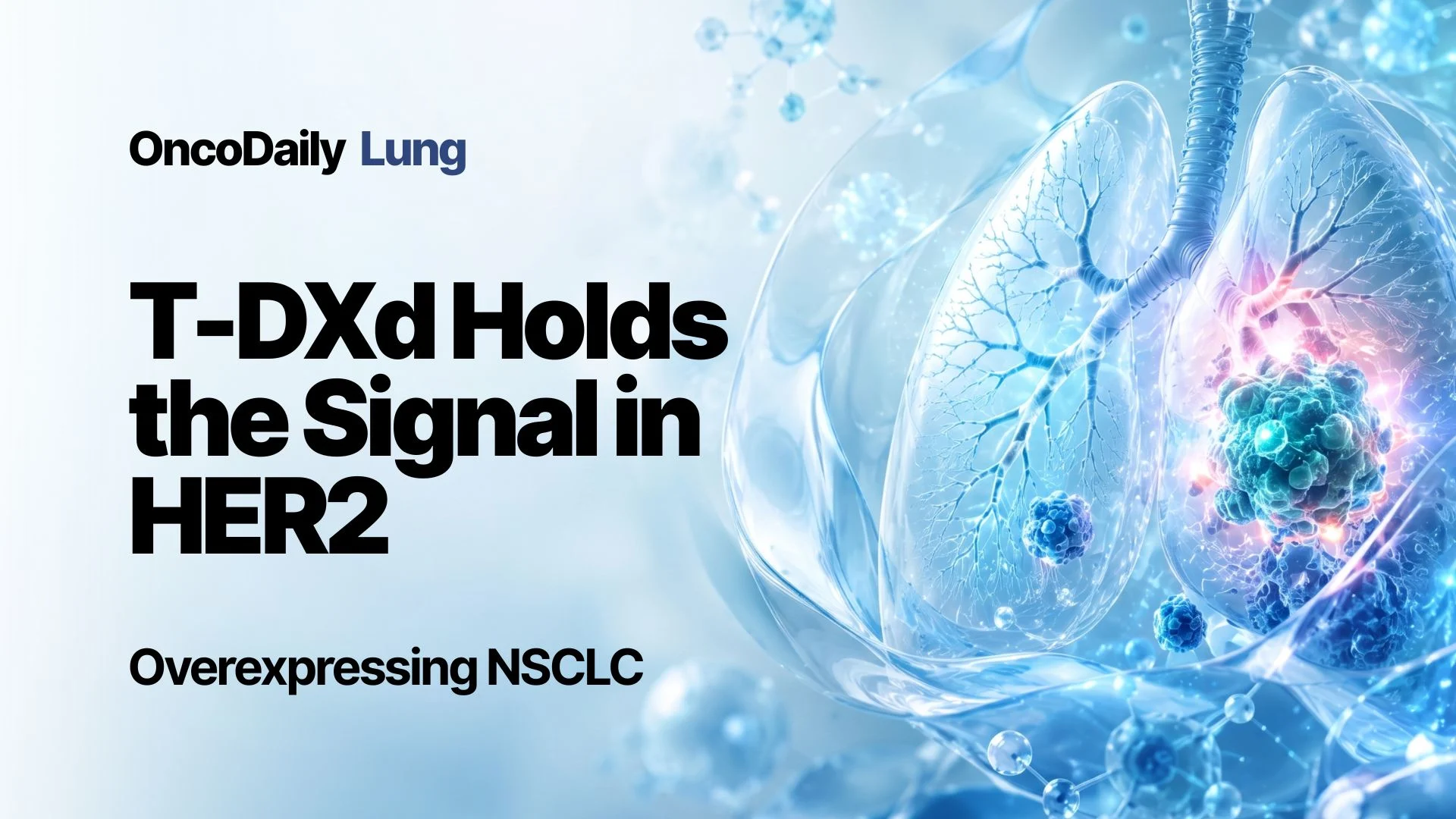 DESTINY-Lung03