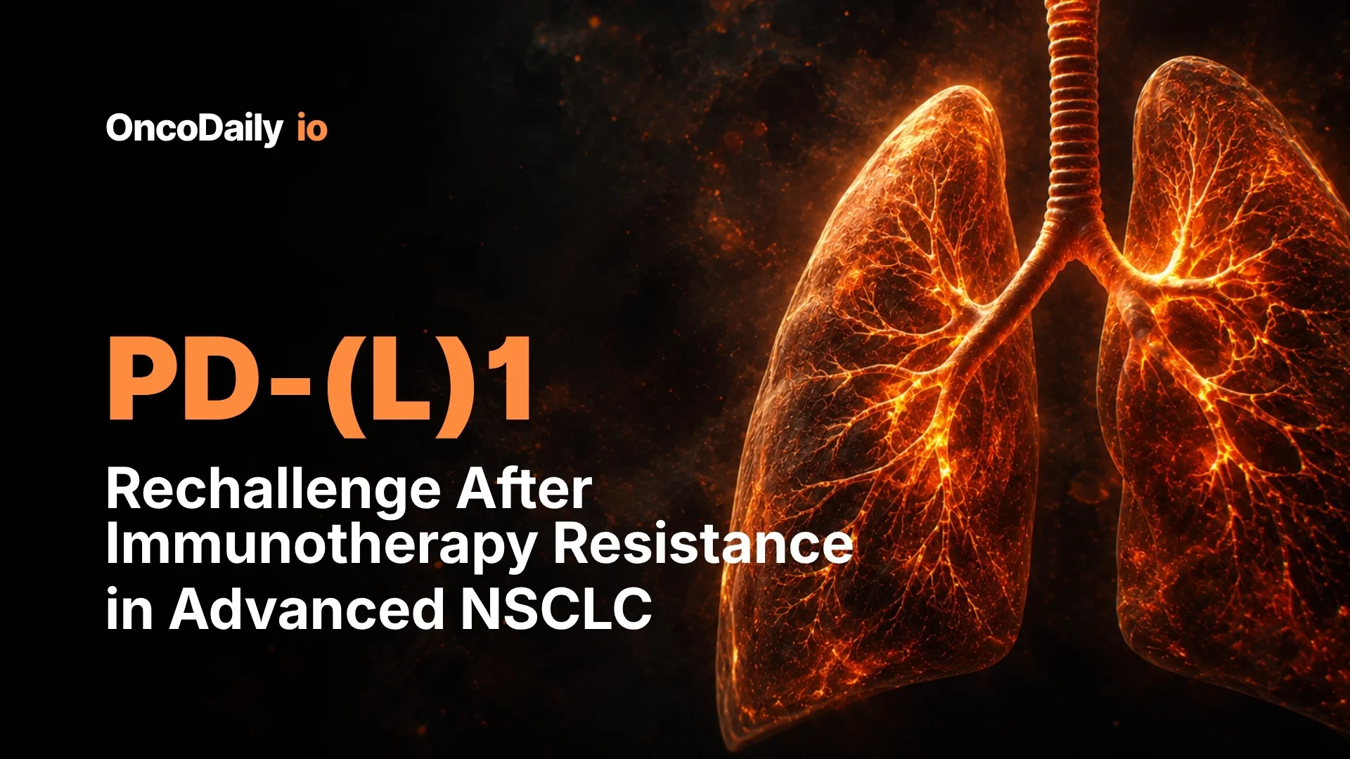 PD-(L)1 Rechallenge After Immunotherapy Resistance in Advanced NSCLC