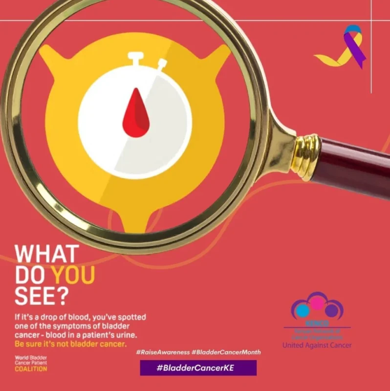 Kenyan Network of Cancer Organizations