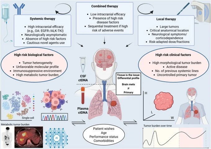 Hidehito Horinouchi: Lung Cancer Brain Metastases At The Dawn Of Personalized Medicine