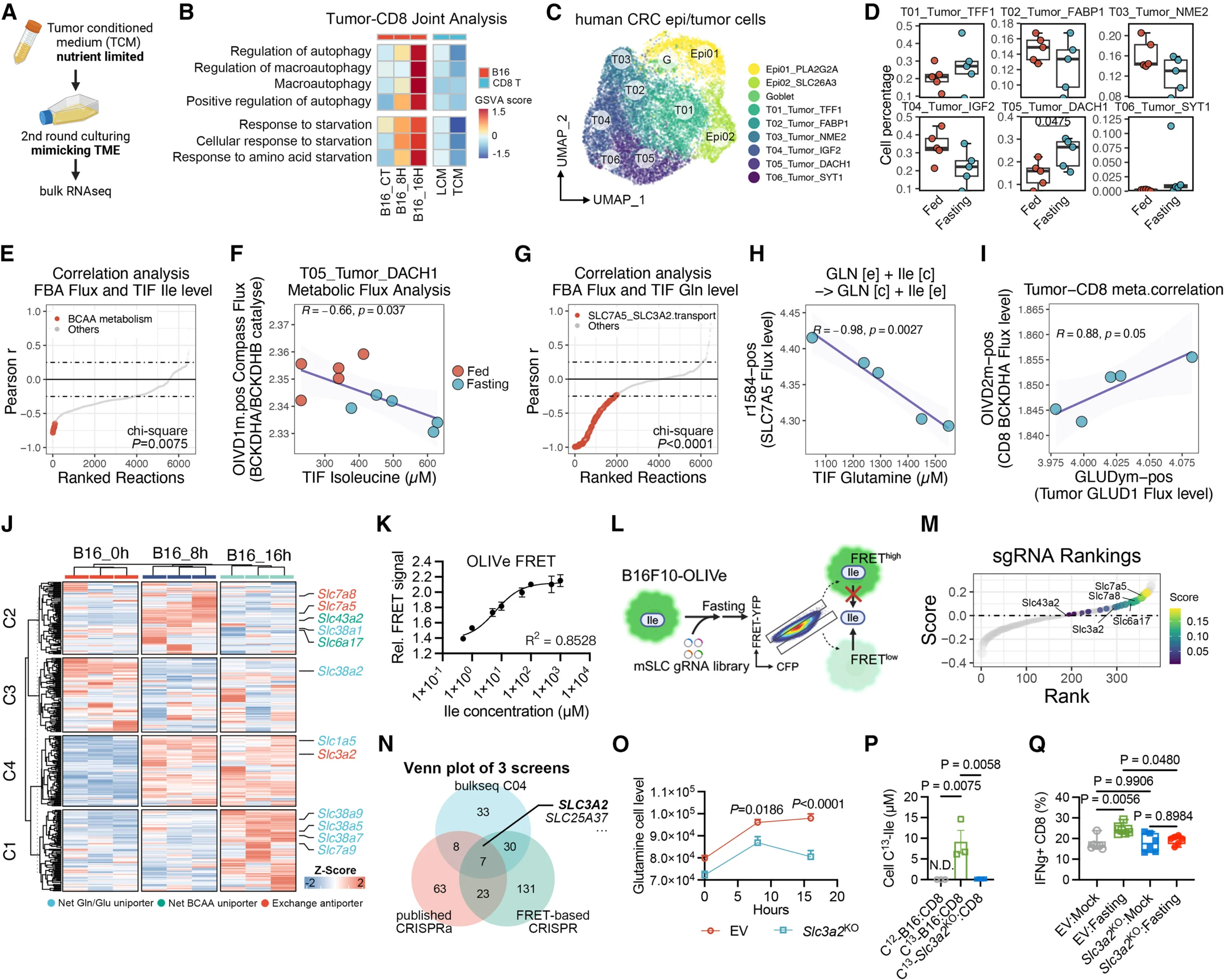 Short-Term Fasting Enhances Immunotherapy Response 3 short-term fasting