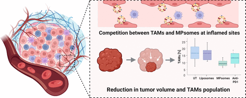 10 Must-Read Posts in Immuno-Oncology This Week