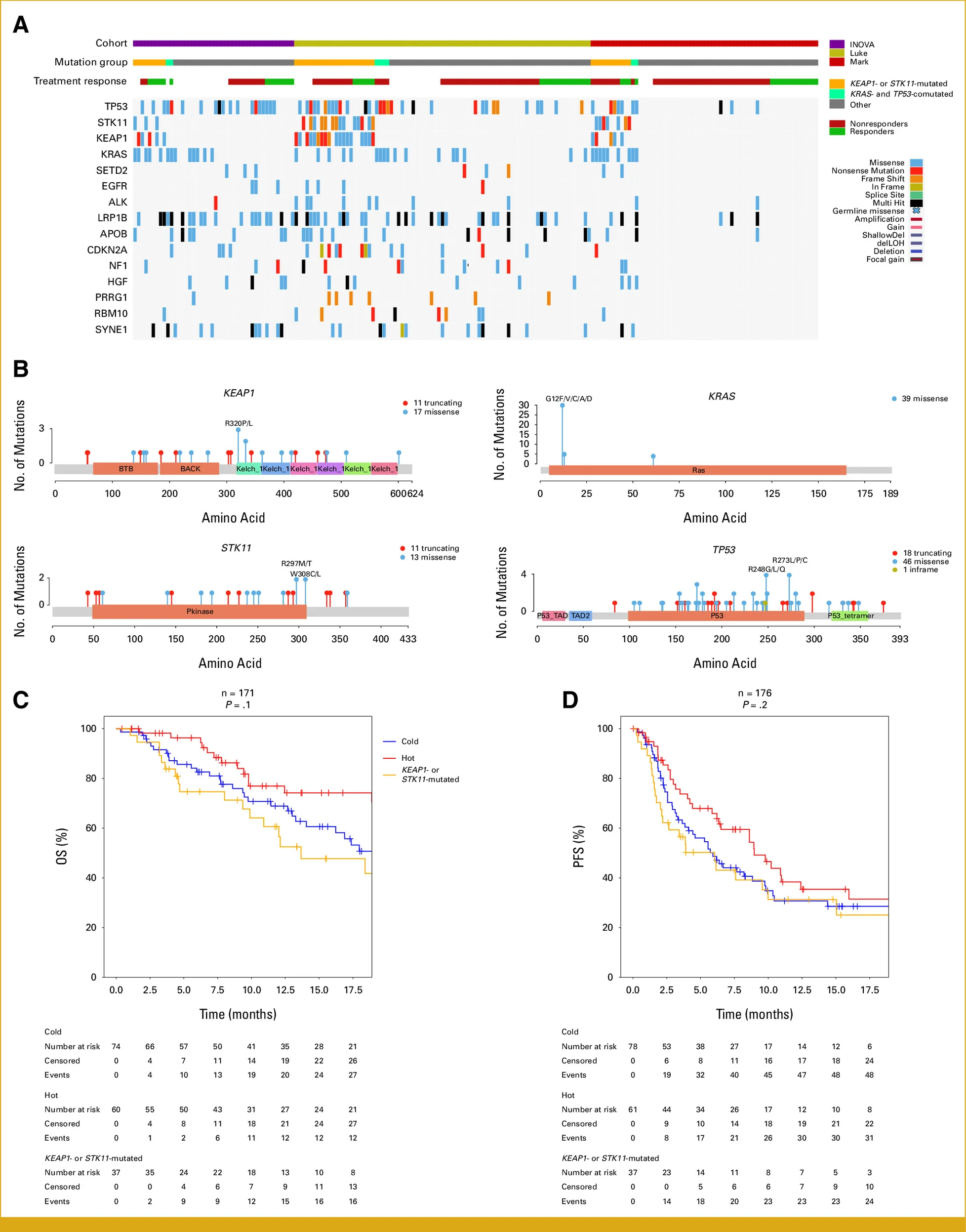 Immunophenotypic Signatures Predict Immunotherapy Response and Survival in NSCLC 3 immunophenotypic signatures