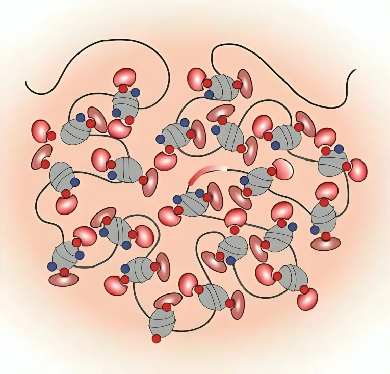Why Do Some Cancers Become Resistant to Treatment? - National Cancer Institute