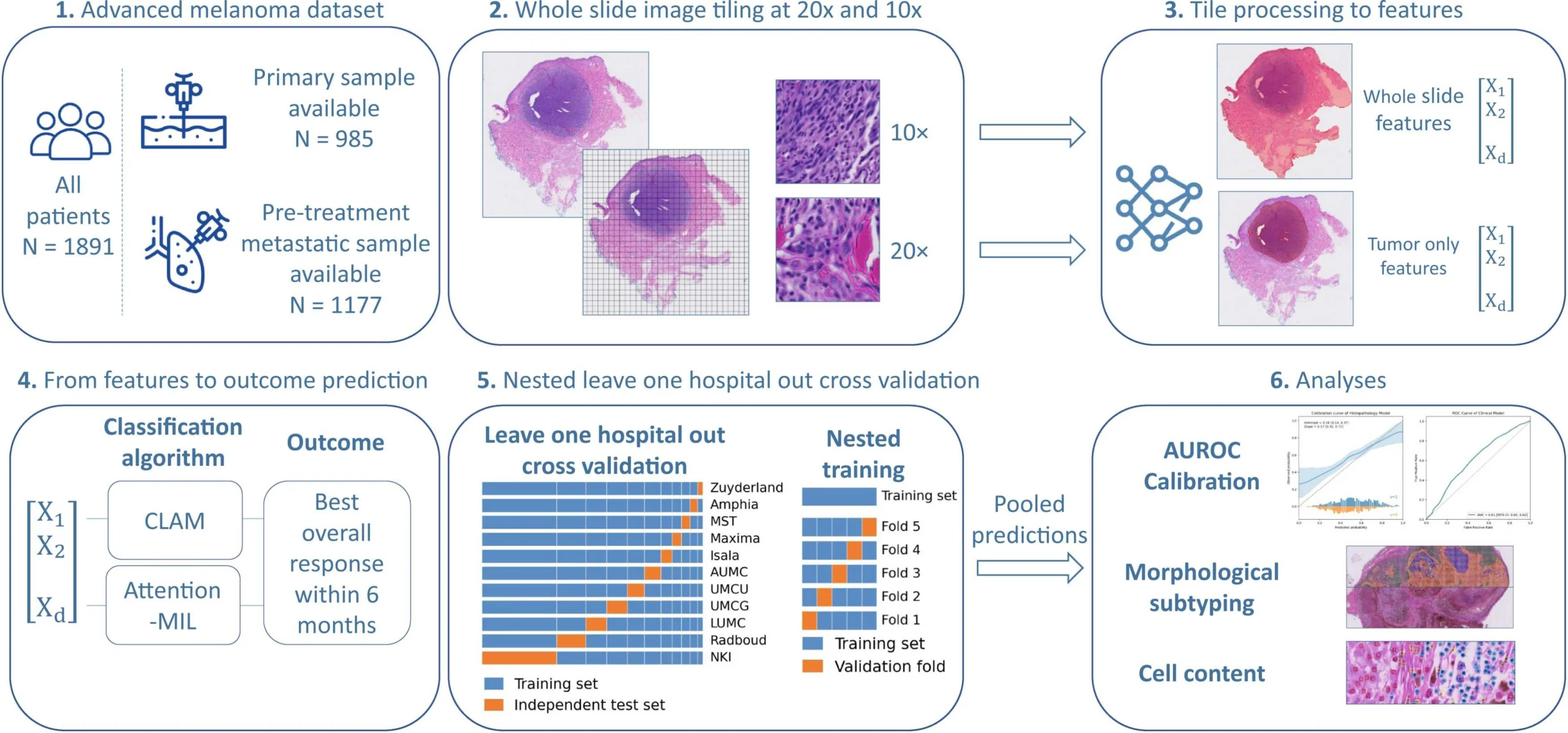 AI-Based Histopathology Analysis Predicts Checkpoint Inhibitor Response in Advanced Melanoma