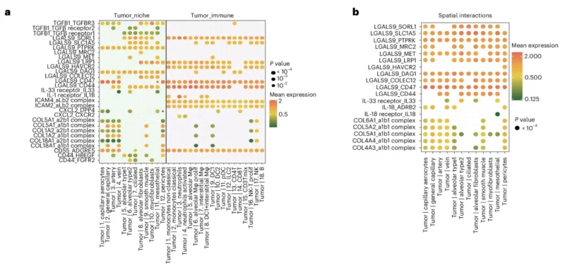Iannis Aifantis: Excited to Share Our Work on Extramedullary AML in Nature Immunology