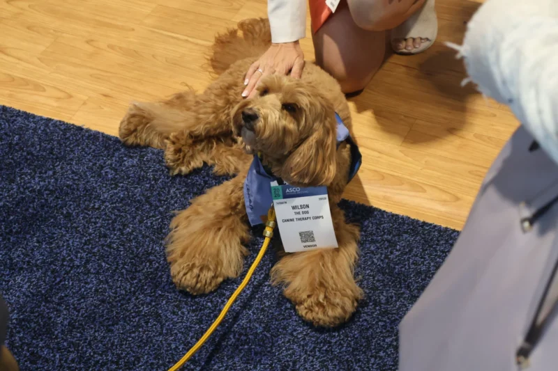 OncoDaily Ambassadors at ASCO 2026 2 OncoDaily Ambassadors