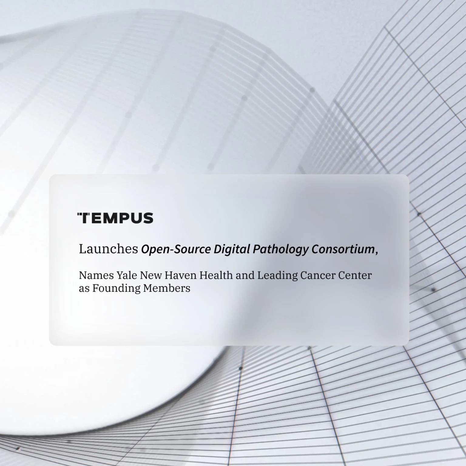 Saad Nadeem: Democratizing Access to Digital Pathology Worldwide 2 Saad Nadeem: Democratizing Access to Digital Pathology Worldwide