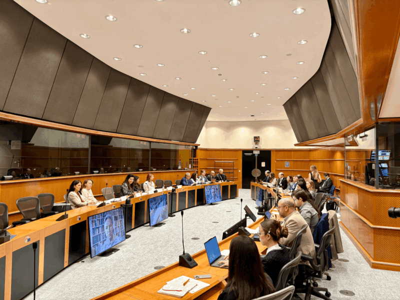Dominika Kormanová at the European Parliament: Making Metastatic Breast Cancer Visible Across Europe 2 Dominika Kormanová at the European Parliament: Making Metastatic Breast Cancer Visible Across Europe