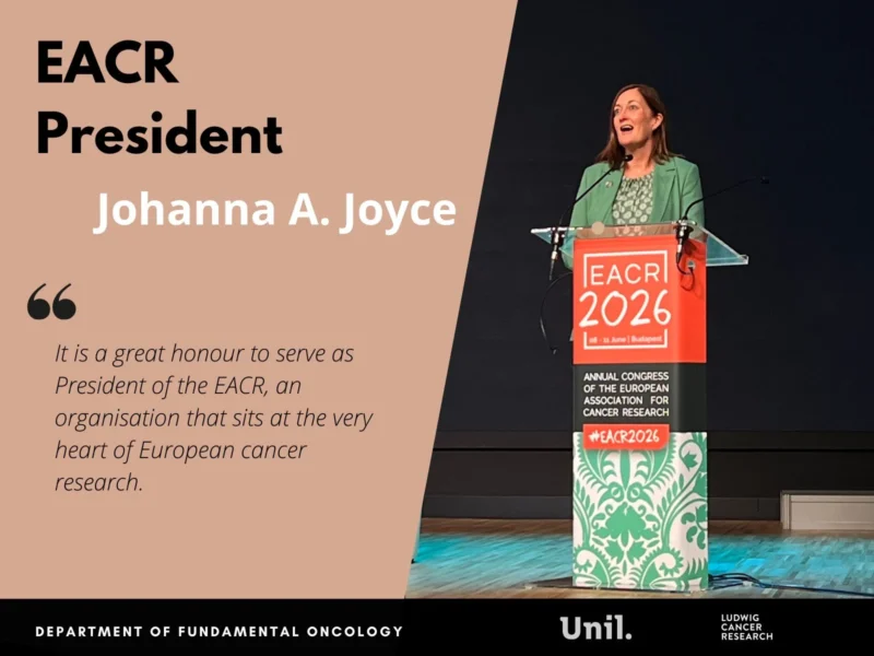 Johanna Joyce Welcomed as New EACR President as EACR 2026 Concludes 2 Johanna Joyce EACR 2026