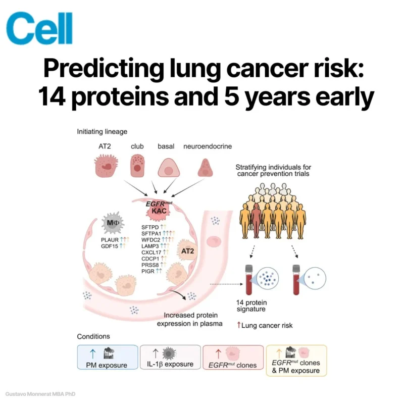 Lung Cancer - OncoDaily