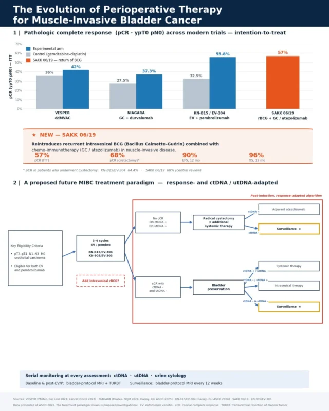 Alan Reyes Mondragón: The Fast-Evolving Landscape of Perioperative Treatment in MIBC 2 Alan Reyes Mondragón: The Fast-Evolving Landscape of Perioperative Treatment in MIBC