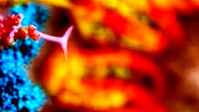 Tanja Obradovic: First CAR-T Therapy Approved for Solid Tumors Treatment 2 Tanja Obradovic: First CAR-T Therapy Approved for Solid Tumors Treatment