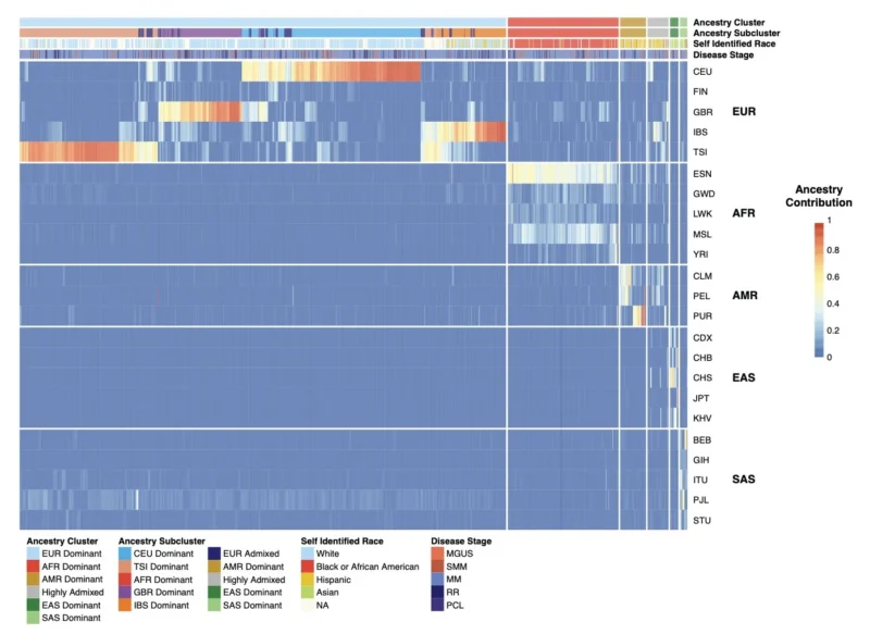 Francesco Maura: New Study From the Polyethnic-1000 Initiative is Out on How Genetic Ancestry Relates to MM 3 Gareth Morgan, Francesco Maura