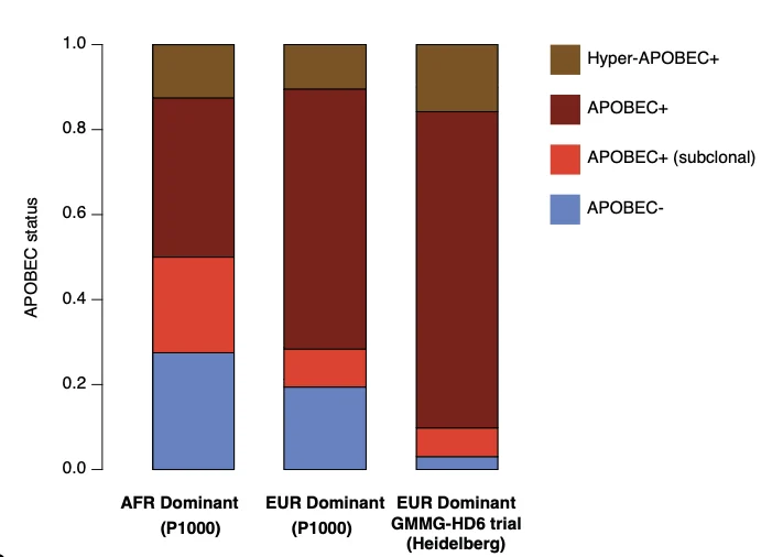 Francesco Maura: New Study From the Polyethnic-1000 Initiative is Out on How Genetic Ancestry Relates to MM 4 Gareth Morgan, Francesco Maura