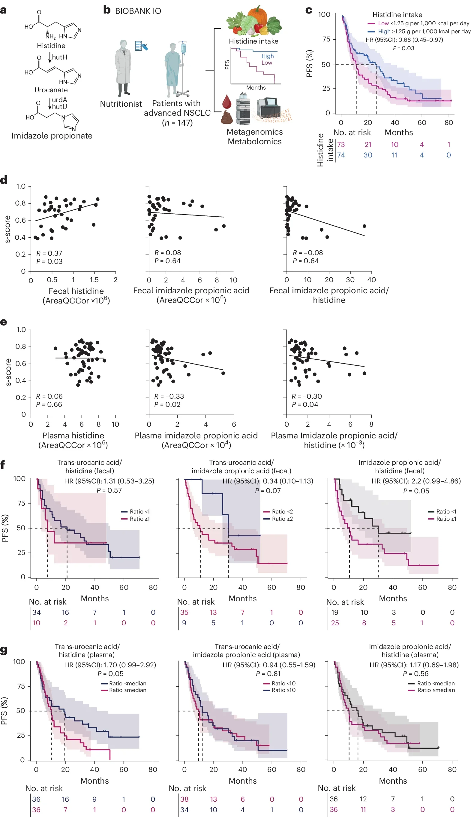 Histidine: A New Metabolic Biomarker for Immunotherapy Success