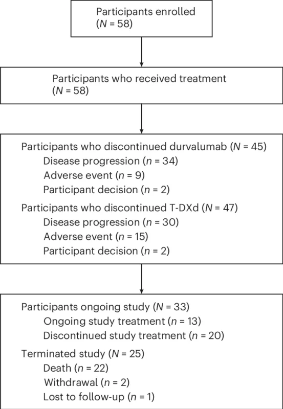 BEGONIA Arm 6: Durvalumab Plus T-DXd Shows Activity in HER2-Low Breast Cancer 2 BEGONIA