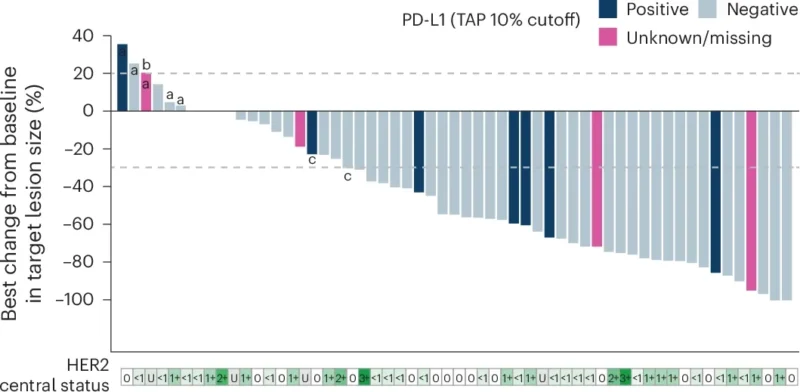 BEGONIA Arm 6: Durvalumab Plus T-DXd Shows Activity in HER2-Low Breast Cancer 3 BEGONIA