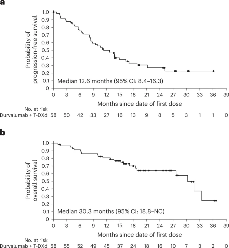 BEGONIA Arm 6: Durvalumab Plus T-DXd Shows Activity in HER2-Low Breast Cancer 4 BEGONIA