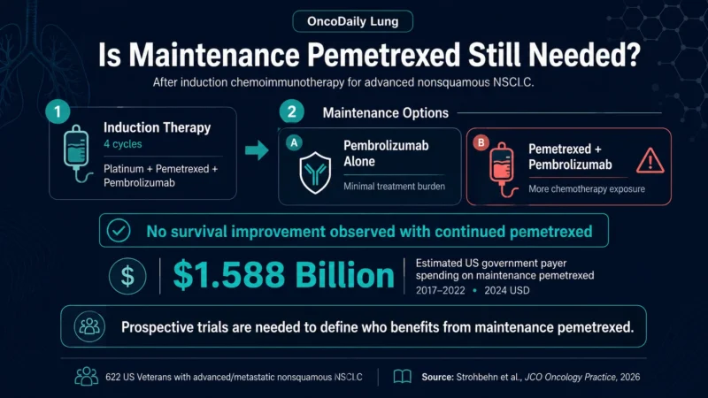 Maintenance Pemetrexed