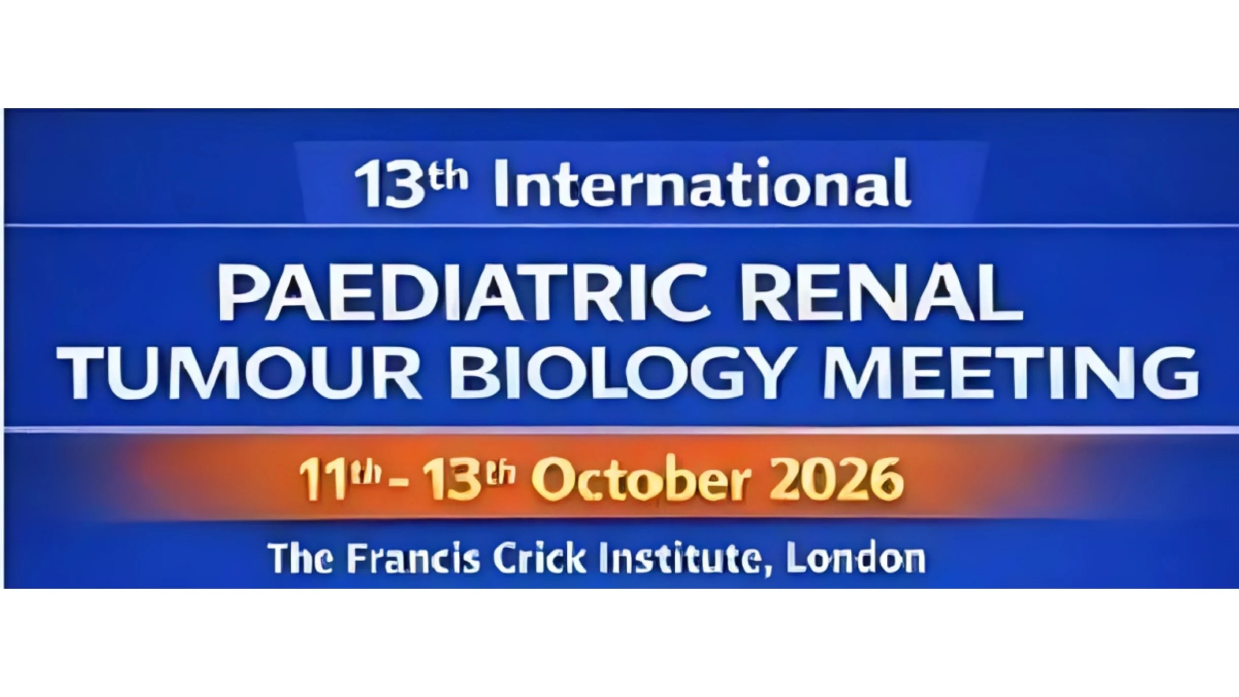 Renal Tumours