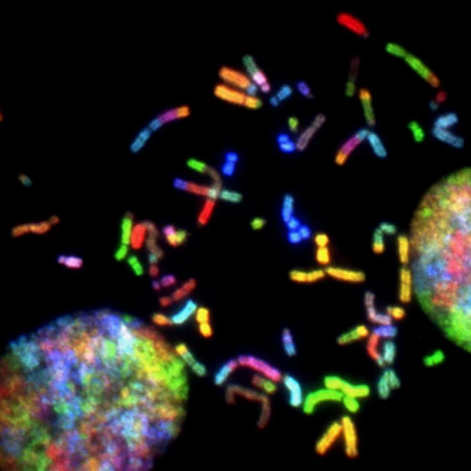 Anthony Letai: Rare Brain and Spine Tumors Need Connection, Not Silos