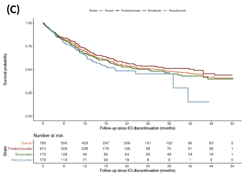 Stephen V Liu: Korean Cohort Study Measuring Post-ICI Treatment-Free Survival in NSCLC