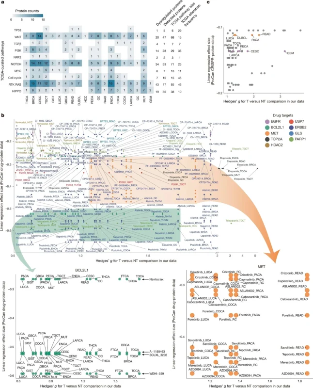 Vivek Subbiah: Amazing Paper That Provides Insights to Potential Drug Targets and Drug Repurposing 2 Vivek Subbiah